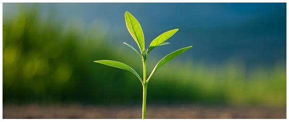 1740453316877461.png 04.png